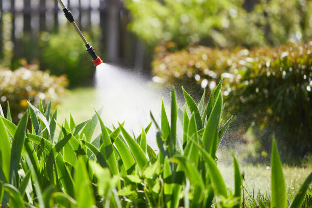 24/7 Emergency Mosquito Control experts in Huntington, IN